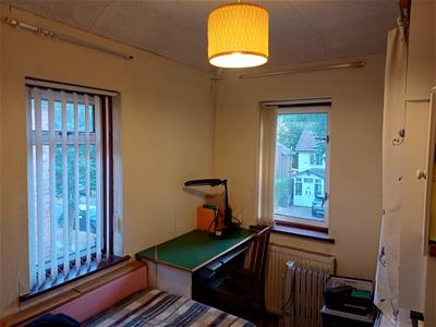Picture 13